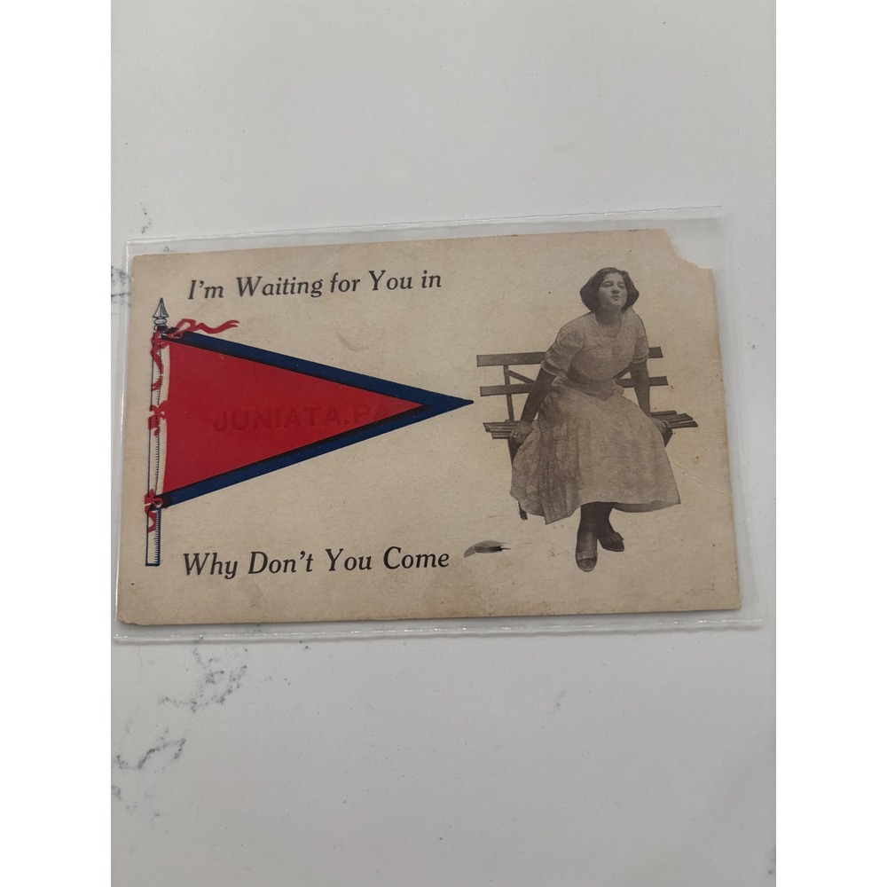 Antique 1915 Juniata PA Postcard Real Photo Woman‎ Bench Red Felt Pennant RPPC